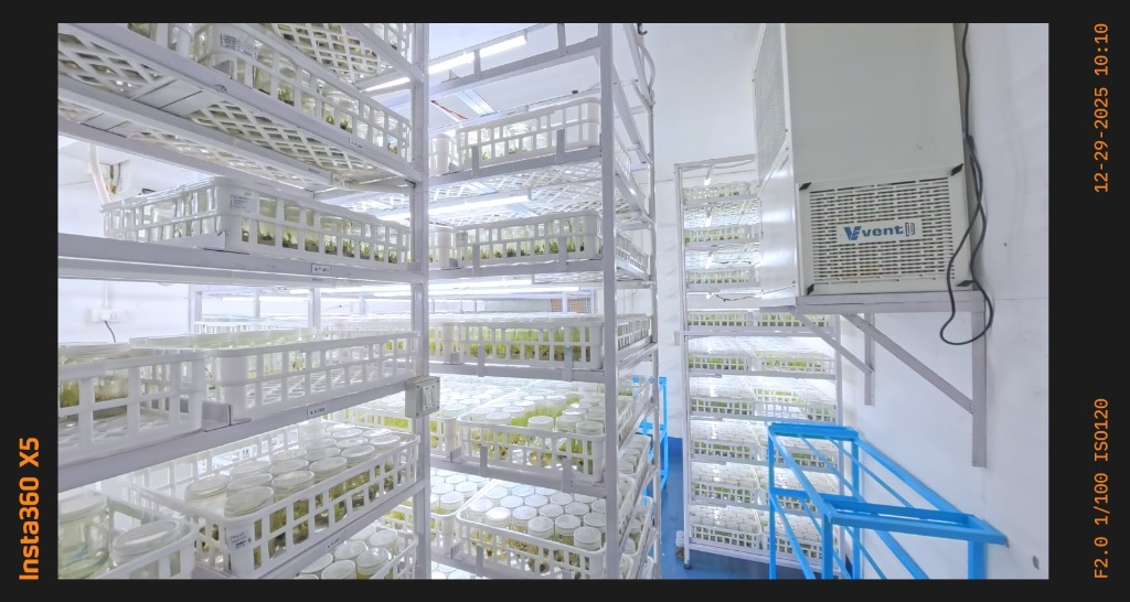 Laboratory Operations